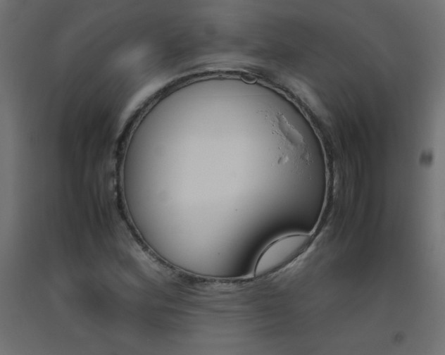 X0000093531164200710121143