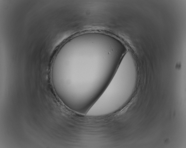 X0000093531165200710121143