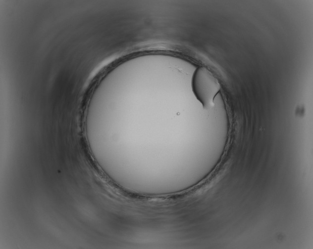 X0000093531166200710121143
