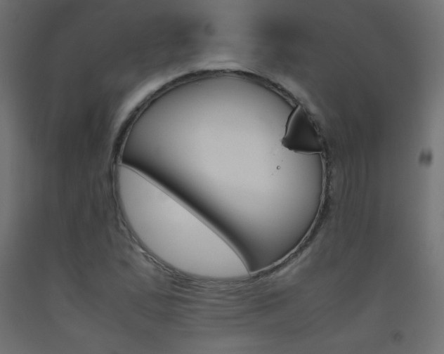 X0000093531167200710121143