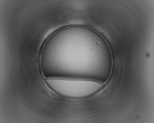 X0000093531168200710121143