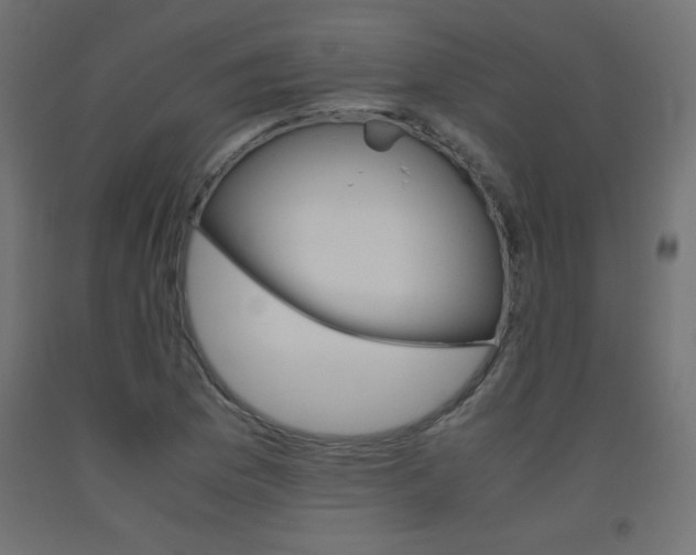 X0000093531169200710121143