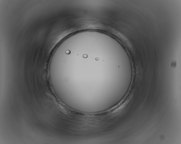 X0000093531170200710121143