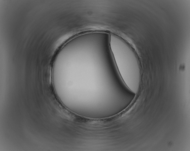 X0000093531171200710121143