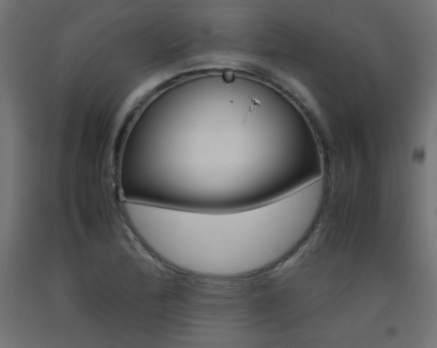 X0000093531172200710121143