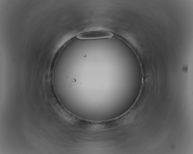 X0000093531173200710121143