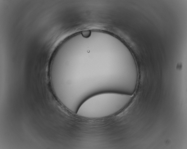 X0000093531174200710121143