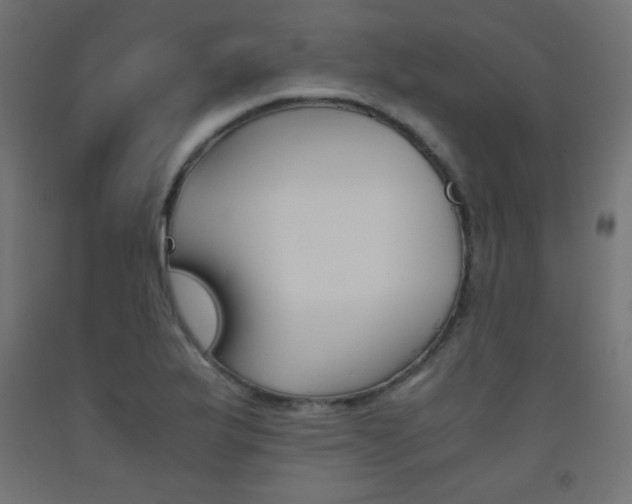 X0000093531175200710121143