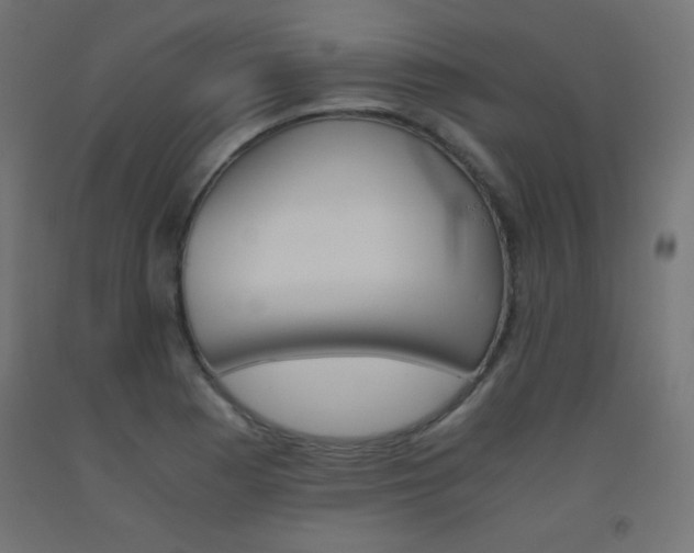 X0000093531177200710121143