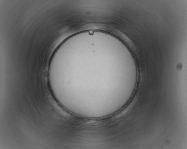 X0000093531178200710121143