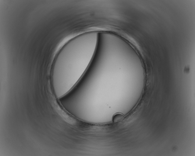 X0000093531179200710121143