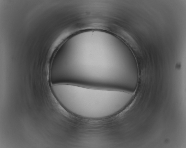 X0000093531180200710121143