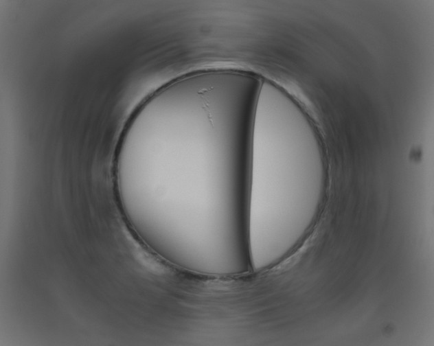 X0000093531181200710121143