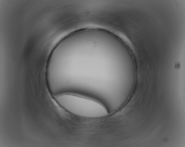 X0000093531183200710121143
