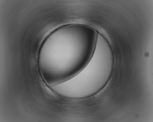 X0000093531184200710121143