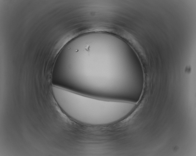 X0000093531185200710121143