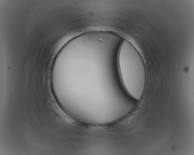X0000093531187200710121143