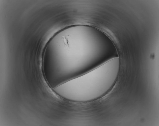X0000093531188200710121143