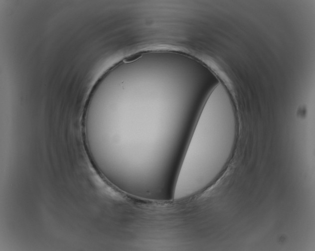 X0000093531189200710121143