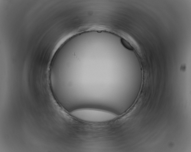 X0000093531190200710121143