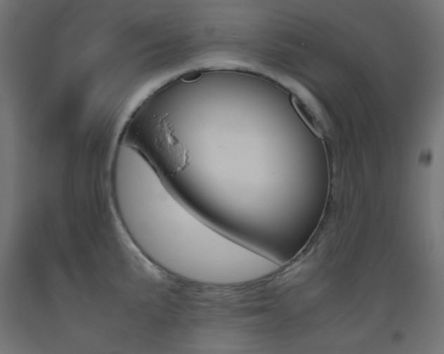 X0000093531191200710121143