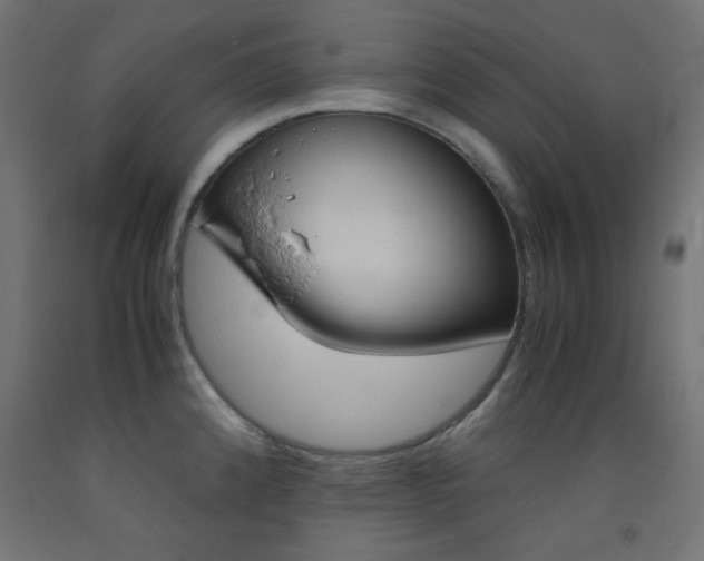 X0000093531192200710121143