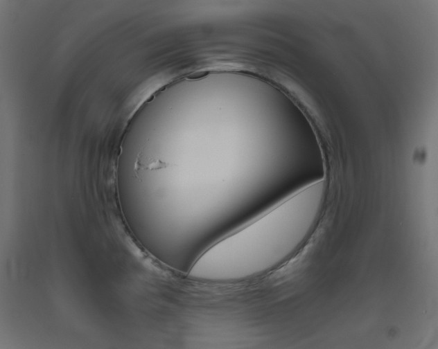 X0000093531193200710121143