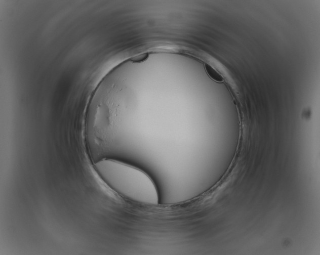 X0000093531194200710121143