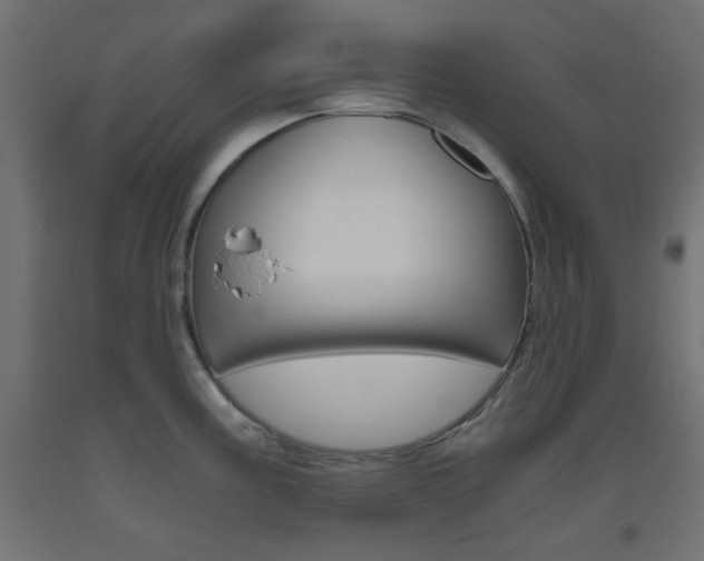 X0000093531195200710121143