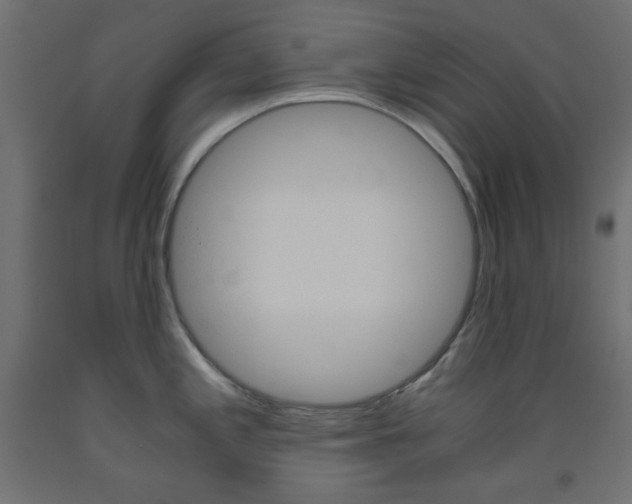 X0000093531197200710121143