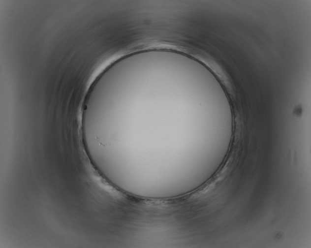 X0000093531198200710121143