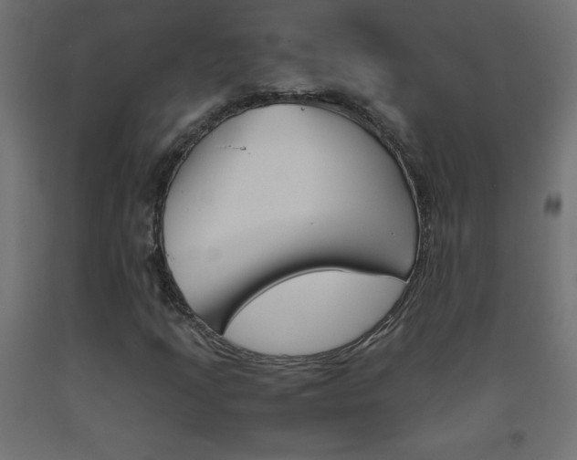X0000093531205200710121142
