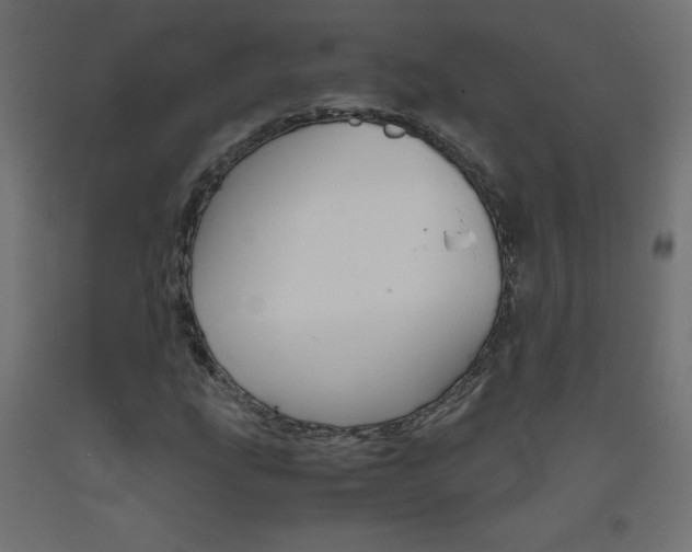 X0000093531207200710121142