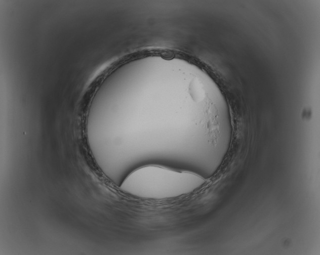 X0000093531208200710121142