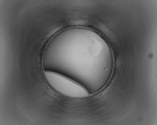 X0000093531209200710121142