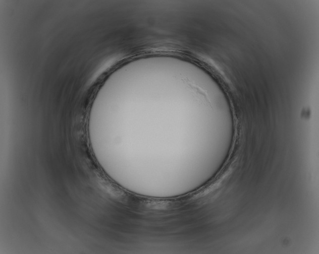X0000093531211200710121142