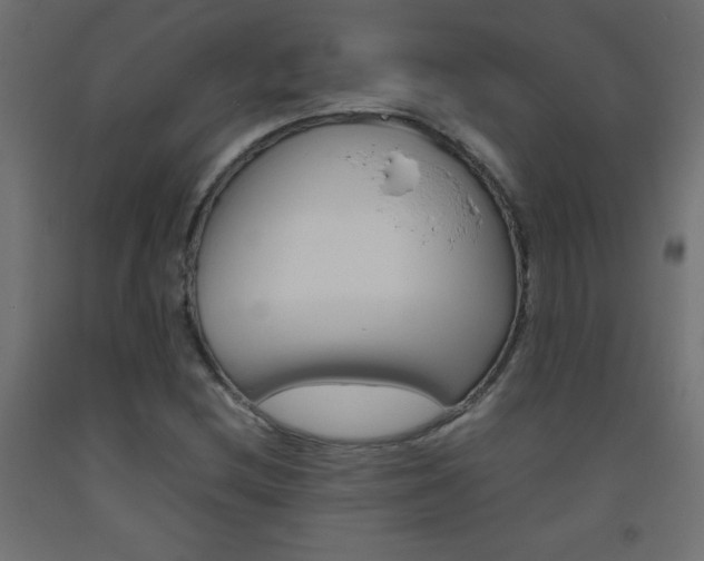 X0000093531212200710121142