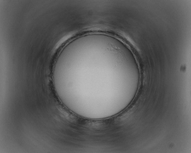 X0000093531213200710121142