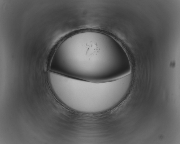 X0000093531214200710121142