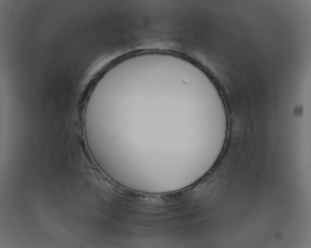 X0000093531215200710121142