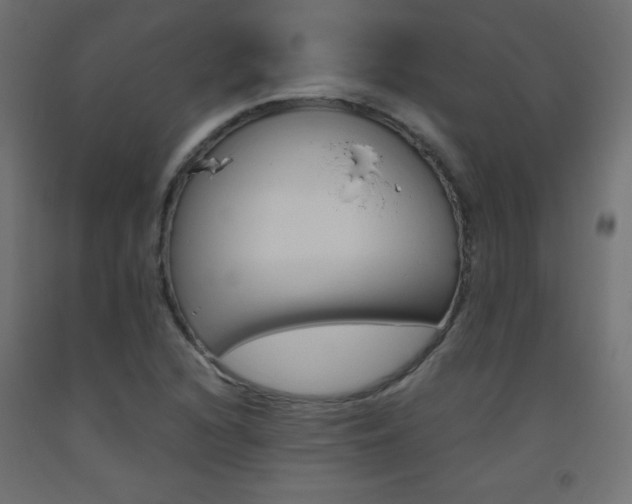 X0000093531216200710121142