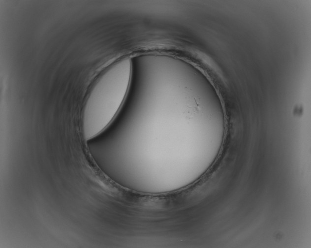 X0000093531217200710121142