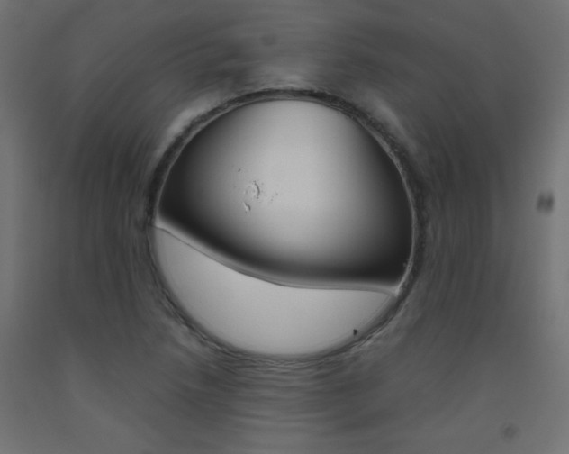 X0000093531218200710121142