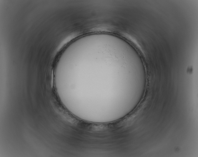 X0000093531219200710121142