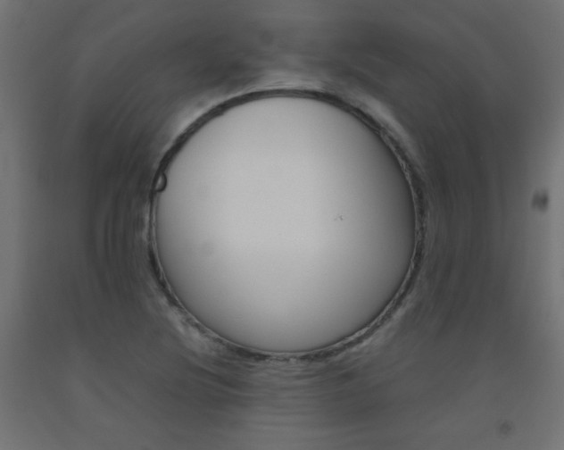 X0000093531220200710121142