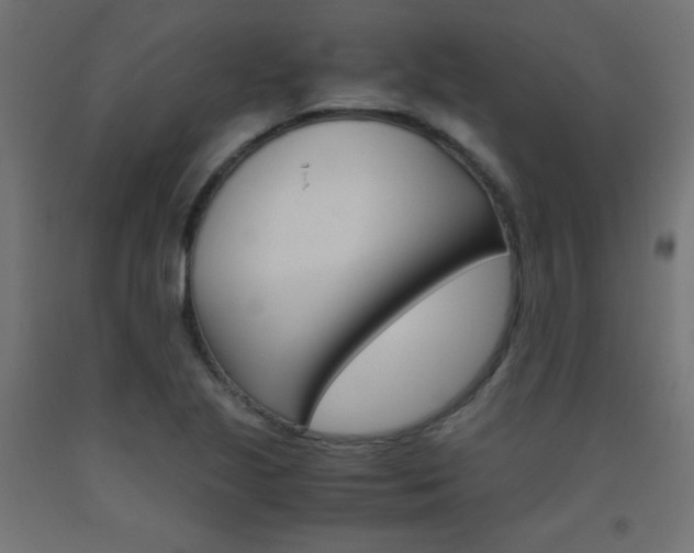 X0000093531221200710121142