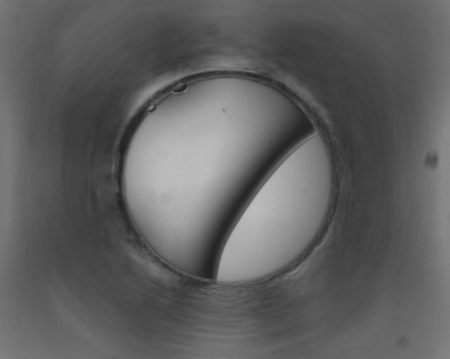 X0000093531222200710121142