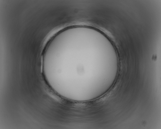 X0000093531223200710121142
