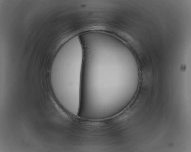 X0000093531225200710121142
