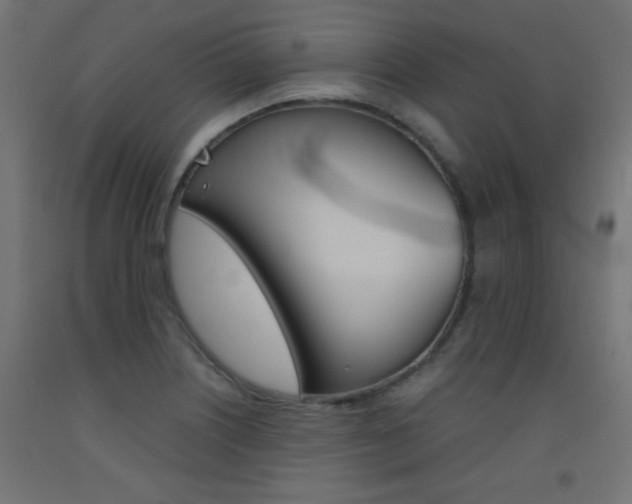 X0000093531226200710121142